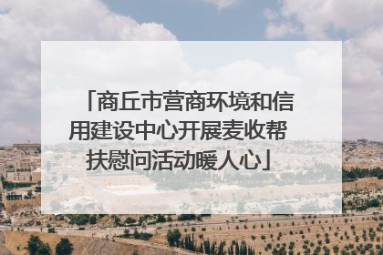 商丘市营商环境和信用建设中心开展麦收帮扶慰问活动暖人心