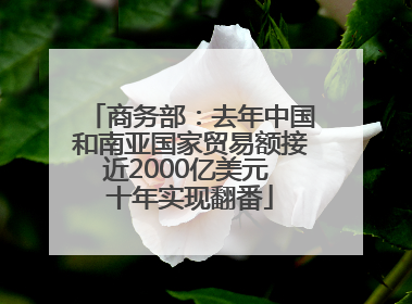 商务部：去年中国和南亚国家贸易额接近2000亿美元 十年实现翻番