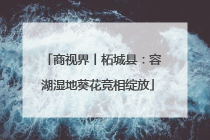商视界丨柘城县：容湖湿地葵花竞相绽放