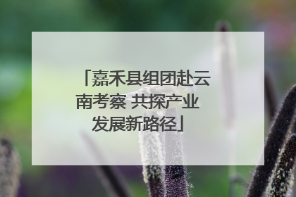 嘉禾县组团赴云南考察 共探产业发展新路径