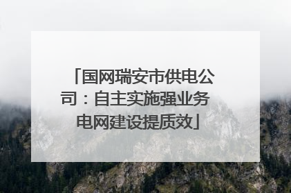 国网瑞安市供电公司：自主实施强业务 电网建设提质效