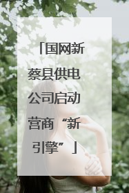 国网新蔡县供电公司启动营商“新引擎”