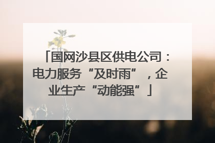 国网沙县区供电公司：电力服务“及时雨”，企业生产“动能强”