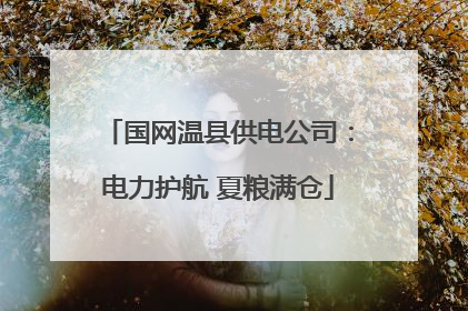 国网温县供电公司：电力护航 夏粮满仓