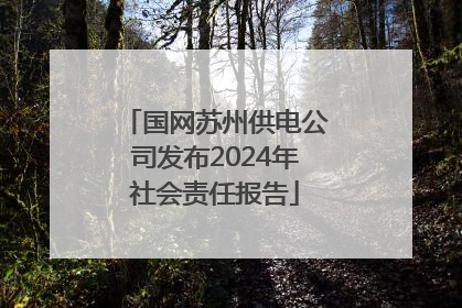国网苏州供电公司发布2024年社会责任报告