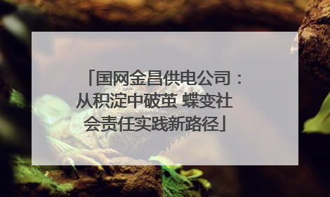 国网金昌供电公司：从积淀中破茧 蝶变社会责任实践新路径