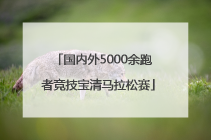 国内外5000余跑者竞技宝清马拉松赛