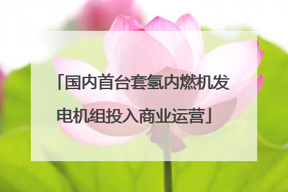 国内首台套氢内燃机发电机组投入商业运营