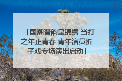 国潮晋韵呈锦绣 当打之年正青春 青年演员折子戏专场演出启动