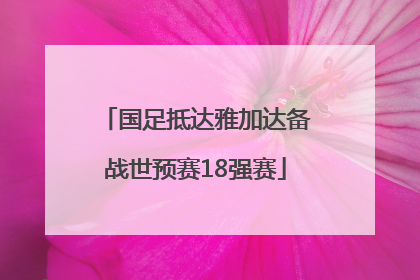 国足抵达雅加达备战世预赛18强赛
