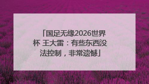 国足无缘2026世界杯 王大雷：有些东西没法控制，非常遗憾