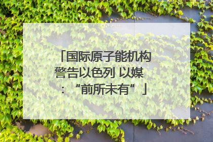 国际原子能机构警告以色列 以媒：“前所未有”