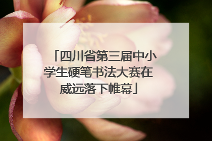 四川省第三届中小学生硬笔书法大赛在威远落下帷幕