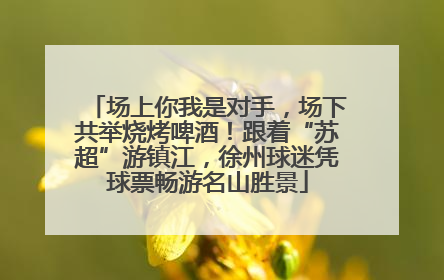 场上你我是对手，场下共举烧烤啤酒！跟着“苏超”游镇江，徐州球迷凭球票畅游名山胜景