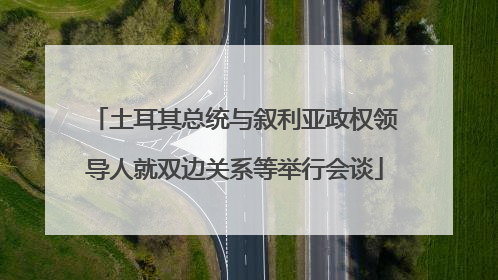 土耳其总统与叙利亚政权领导人就双边关系等举行会谈