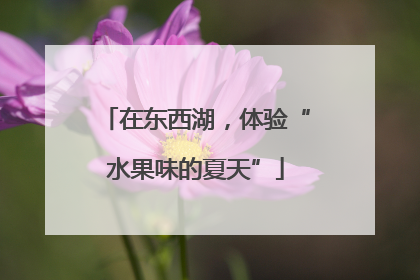 在东西湖，体验“水果味的夏天”