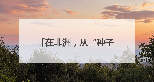 在非洲，从“种子”到“杯子”的遥远距离——一颗咖啡豆的前世今生（三）