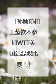 孙颖莎和王楚钦不参加WTT美国站混双比赛！