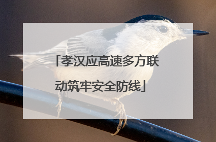 孝汉应高速多方联动筑牢安全防线