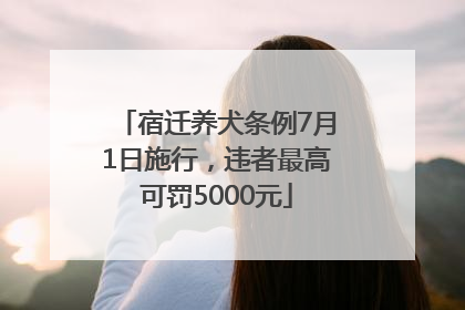 宿迁养犬条例7月1日施行，违者最高可罚5000元
