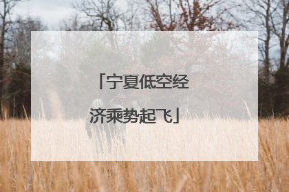 宁夏低空经济乘势起飞