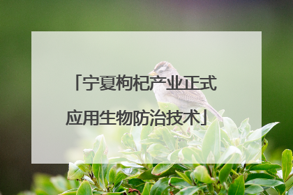 宁夏枸杞产业正式应用生物防治技术