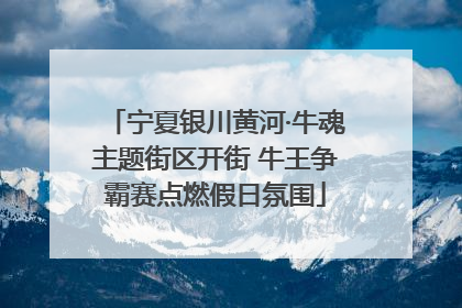 宁夏银川黄河·牛魂主题街区开街 牛王争霸赛点燃假日氛围