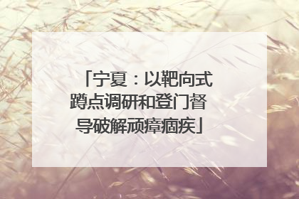 宁夏：以靶向式蹲点调研和登门督导破解顽瘴痼疾