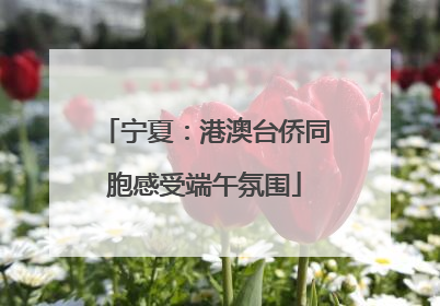 宁夏：港澳台侨同胞感受端午氛围