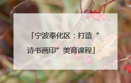 宁波奉化区:打造“诗书画印”美育课程