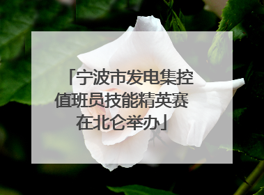 宁波市发电集控值班员技能精英赛在北仑举办