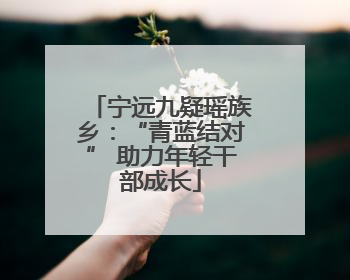 宁远九疑瑶族乡：“青蓝结对” 助力年轻干部成长