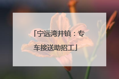 宁远湾井镇：专车接送助招工
