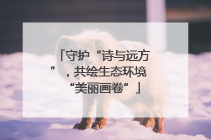 守护“诗与远方”，共绘生态环境“美丽画卷”