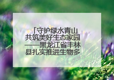 守护绿水青山 共筑美好生态家园——黑龙江省丰林县扎实推进生物多样性保护工作
