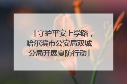 守护平安上学路，哈尔滨市公安局双城分局开展夏防行动