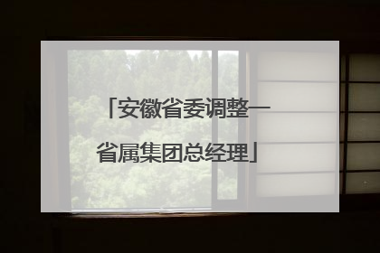 安徽省委调整一省属集团总经理