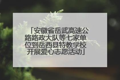 安徽省岳武高速公路路政大队等七家单位到岳西县特教学校开展爱心志愿活动