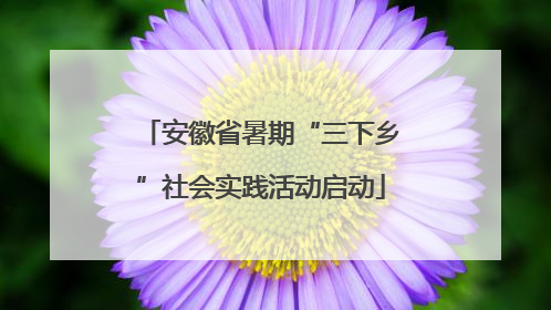 安徽省暑期“三下乡”社会实践活动启动