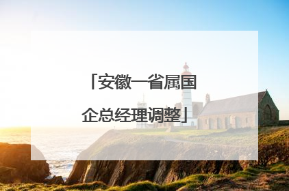 安徽一省属国企总经理调整