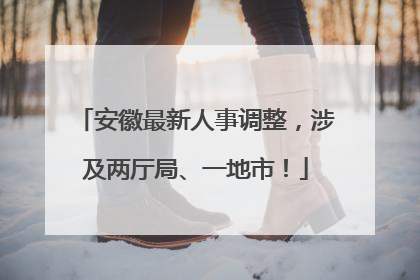 安徽最新人事调整，涉及两厅局、一地市！