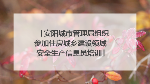 安阳城市管理局组织参加住房城乡建设领域安全生产信息员培训
