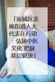 宛城区茶庵街道人大代表在行动：弘扬中医文化 把脉基层健康