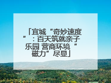 宜城“奇妙速度”：百天筑就亲子乐园 营商环境“磁力”尽显