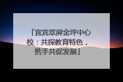 宜宾翠屏金坪中心校：共探教育特色，携手共促发展