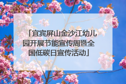 宜宾屏山金沙江幼儿园开展节能宣传周暨全国低碳日宣传活动
