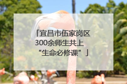 宜昌市伍家岗区300余师生共上“生命必修课”