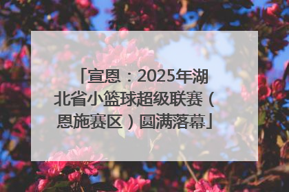 宣恩：2025年湖北省小篮球超级联赛（恩施赛区）圆满落幕