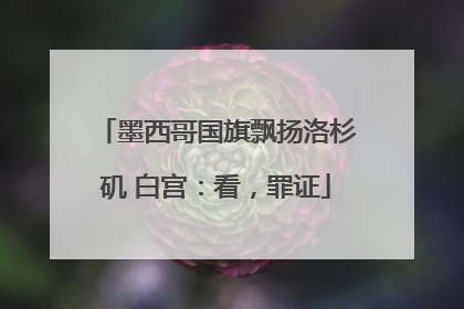 墨西哥国旗飘扬洛杉矶 白宫：看，罪证