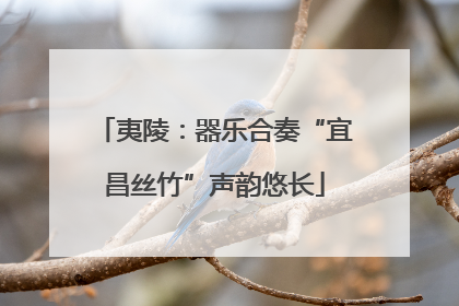夷陵：器乐合奏“宜昌丝竹”声韵悠长